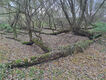 Název souboru=Opatovice_12_11_2023_14.jpg
Velikost souboru=763KB
Rozměry=1024x768
Datum přidání=14.03.2024 Opatovice_12_11_2023_14.jpg