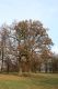 Název souboru=Opatovice_14_11_2009_05.jpg
Velikost souboru=215KB
Rozměry=600x900
Datum přidání=15.11.2009 Opatovice_14_11_2009_05.jpg