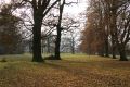 Filename=Opatovice_14_11_2009_08.jpg
Filesize=293KiB
Dimensions=950x633
Date added=Nov 15, 2009 Opatovice_14_11_2009_08.jpg