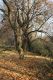 Filename=Opatovice_15_11_2009_03.jpg
Filesize=276KiB
Dimensions=600x900
Date added=Nov 15, 2009 Opatovice_15_11_2009_03.jpg