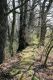 Název souboru=Opatovice_31_3_2008a.jpg
Velikost souboru=368KB
Rozměry=600x900
Datum přidání=07.04.2008 Opatovice_31_3_2008a.jpg