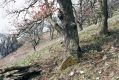 Název souboru=Pavlov_1_4_2004_06.jpg
Velikost souboru=528KB
Rozměry=1024x683
Datum přidání=14.02.2017 Pavlov_1_4_2004_06.jpg