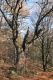Petrohrad_18_11_2009_13.jpg