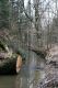 Filename=Petrovice_16_4_2010_49.jpg
Filesize=250KiB
Dimensions=600x900
Date added=May 05, 2010 Petrovice_16_4_2010_49.jpg