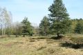 Plachta-24_4_2007a.jpg