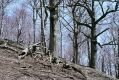 Název souboru=Plav_Podhr_16_4_2003_03.jpg
Velikost souboru=551KB
Rozměry=1024x683
Datum přidání=07.02.2017 Plav_Podhr_16_4_2003_03.jpg
