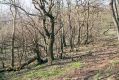 Název souboru=Plav_Podhr_16_4_2003_10.jpg
Velikost souboru=565KB
Rozměry=1024x683
Datum přidání=07.02.2017 Plav_Podhr_16_4_2003_10.jpg