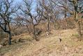 Název souboru=Plav_Podhr_16_4_2003_11.jpg
Velikost souboru=605KB
Rozměry=1024x683
Datum přidání=07.02.2017 Plav_Podhr_16_4_2003_11.jpg