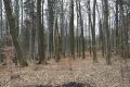 Název souboru=Ponesice_1_4_2011_27.jpg
Velikost souboru=331KB
Rozměry=950x633
Datum přidání=15.04.2011 Ponesice_1_4_2011_27.jpg