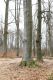 Název souboru=Ponesice_1_4_2011_30.jpg
Velikost souboru=284KB
Rozměry=600x900
Datum přidání=15.04.2011 Ponesice_1_4_2011_30.jpg