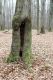 Název souboru=Ponesice_1_4_2011_45.jpg
Velikost souboru=269KB
Rozměry=600x900
Datum přidání=15.04.2011 Ponesice_1_4_2011_45.jpg
