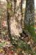 Název souboru=Precin_22_10_2010_01.jpg
Velikost souboru=575KB
Rozměry=600x900
Datum přidání=30.01.2016 Precin_22_10_2010_01.jpg