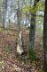 Název souboru=Precin_22_10_2010_03.jpg
Velikost souboru=594KB
Rozměry=600x900
Datum přidání=30.01.2016 Precin_22_10_2010_03.jpg