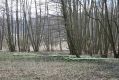 Název souboru=Racice_21_3_2016_02.jpg
Velikost souboru=529KB
Rozměry=1024x683
Datum přidání=25.03.2016 Racice_21_3_2016_02.jpg