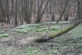 Název souboru=Racice_21_3_2016_04.jpg
Velikost souboru=576KB
Rozměry=1024x683
Datum přidání=25.03.2016 Racice_21_3_2016_04.jpg