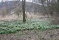 Název souboru=Racice_21_3_2016_05.jpg
Velikost souboru=583KB
Rozměry=1024x683
Datum přidání=25.03.2016 Racice_21_3_2016_05.jpg