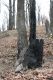 Název souboru=Racice_21_3_2016_41.jpg
Velikost souboru=536KB
Rozměry=600x900
Datum přidání=25.03.2016 Racice_21_3_2016_41.jpg