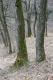Název souboru=Racice_21_3_2016_45.jpg
Velikost souboru=559KB
Rozměry=600x900
Datum přidání=25.03.2016 Racice_21_3_2016_45.jpg