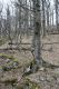 Název souboru=Racice_21_3_2016_47.jpg
Velikost souboru=588KB
Rozměry=600x900
Datum přidání=25.03.2016 Racice_21_3_2016_47.jpg