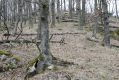 Název souboru=Racice_21_3_2016_48.jpg
Velikost souboru=548KB
Rozměry=1024x683
Datum přidání=25.03.2016 Racice_21_3_2016_48.jpg