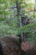 Filename=Ralsko_7_10_2022_40.jpg
Filesize=606KiB
Dimensions=683x1024
Date added=Dec 27, 2022 Ralsko_7_10_2022_40.jpg