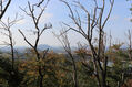 Filename=Ralsko_7_10_2022_52.jpg
Filesize=448KiB
Dimensions=1024x683
Date added=Dec 27, 2022 Ralsko_7_10_2022_52.jpg