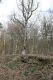 Název souboru=S_Mesto_26_2_2016_07.jpg
Velikost souboru=482KB
Rozměry=600x900
Datum přidání=16.12.2016 S_Mesto_26_2_2016_07.jpg
