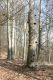 Název souboru=S_Mesto_26_2_2016_08.jpg
Velikost souboru=551KB
Rozměry=600x900
Datum přidání=16.12.2016 S_Mesto_26_2_2016_08.jpg