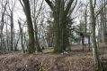 Název souboru=S_Mesto_26_2_2016_16.jpg
Velikost souboru=557KB
Rozměry=1024x683
Datum přidání=16.12.2016 S_Mesto_26_2_2016_16.jpg
