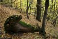 Název souboru=Sas_Podhradie_29_10_2011_18.jpg
Velikost souboru=512KB
Rozměry=1024x683
Datum přidání=12.02.2019 Sas_Podhradie_29_10_2011_18.jpg