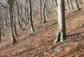 Název souboru=Selec_8_11_2018_12.jpg
Velikost souboru=591KB
Rozměry=1024x683
Datum přidání=12.02.2019 Selec_8_11_2018_12.jpg