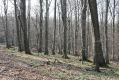 Název souboru=Slan_Huta_28_3_2014_03.jpg
Velikost souboru=473KB
Rozměry=1024x683
Datum přidání=13.02.2015 Slan_Huta_28_3_2014_03.jpg