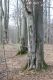 Název souboru=Slan_Huta_28_3_2014_04.jpg
Velikost souboru=356KB
Rozměry=600x900
Datum přidání=13.02.2015 Slan_Huta_28_3_2014_04.jpg