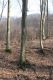 Název souboru=Slan_Huta_28_3_2014_07.jpg
Velikost souboru=362KB
Rozměry=600x900
Datum přidání=13.02.2015 Slan_Huta_28_3_2014_07.jpg