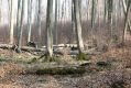 Název souboru=Slan_Huta_28_3_2014_09.jpg
Velikost souboru=478KB
Rozměry=1024x683
Datum přidání=13.02.2015 Slan_Huta_28_3_2014_09.jpg