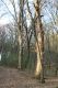 Název souboru=Slanec_28_3_2014_14.jpg
Velikost souboru=387KB
Rozměry=600x900
Datum přidání=13.02.2015 Slanec_28_3_2014_14.jpg