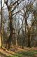 Název souboru=Slanec_28_3_2014_17.jpg
Velikost souboru=413KB
Rozměry=600x900
Datum přidání=13.02.2015 Slanec_28_3_2014_17.jpg