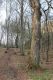 Název souboru=Slanec_28_3_2014_20.jpg
Velikost souboru=351KB
Rozměry=600x900
Datum přidání=13.02.2015 Slanec_28_3_2014_20.jpg