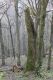 Název souboru=Slanec_28_3_2014_27.jpg
Velikost souboru=341KB
Rozměry=600x900
Datum přidání=13.02.2015 Slanec_28_3_2014_27.jpg