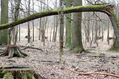 Dateiname=Soutok_1_4_2022_04.jpg
Dateigröße=567KB
Abmessungen: 1024x683
hinzugefügt am: 24. Dezember 2022 Soutok_1_4_2022_04.jpg