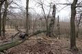 Dateiname=Soutok_1_4_2022_05.jpg
Dateigröße=575KB
Abmessungen: 1024x683
hinzugefügt am: 24. Dezember 2022 Soutok_1_4_2022_05.jpg