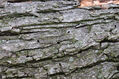 Dateiname=Soutok_1_4_2022_06.jpg
Dateigröße=566KB
Abmessungen: 1024x683
hinzugefügt am: 24. Dezember 2022 Soutok_1_4_2022_06.jpg