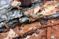 Dateiname=Soutok_1_4_2022_07.jpg
Dateigröße=558KB
Abmessungen: 1024x683
hinzugefügt am: 24. Dezember 2022 Soutok_1_4_2022_07.jpg