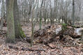 Dateiname=Soutok_1_4_2022_09.jpg
Dateigröße=589KB
Abmessungen: 1024x683
hinzugefügt am: 24. Dezember 2022 Soutok_1_4_2022_09.jpg