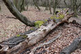 Dateiname=Soutok_1_4_2022_13.jpg
Dateigröße=601KB
Abmessungen: 1024x683
hinzugefügt am: 24. Dezember 2022 Soutok_1_4_2022_13.jpg