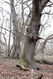 Soutok_1_4_2022_16.jpg