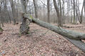 Dateiname=Soutok_1_4_2022_20.jpg
Dateigröße=619KB
Abmessungen: 1024x683
hinzugefügt am: 24. Dezember 2022 Soutok_1_4_2022_20.jpg