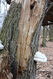 Dateiname=Soutok_1_4_2022_21.jpg
Dateigröße=624KB
Abmessungen: 683x1024
hinzugefügt am: 24. Dezember 2022 Soutok_1_4_2022_21.jpg