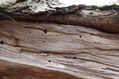 Dateiname=Soutok_1_4_2022_22.jpg
Dateigröße=579KB
Abmessungen: 1024x683
hinzugefügt am: 24. Dezember 2022 Soutok_1_4_2022_22.jpg