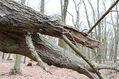Dateiname=Soutok_1_4_2022_23.jpg
Dateigröße=458KB
Abmessungen: 1024x683
hinzugefügt am: 24. Dezember 2022 Soutok_1_4_2022_23.jpg